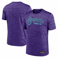 Arizona Diamondbacks Nike Authentic Collection City Connect Velocity Dri-FIT T-Shirt - Purple - Nike Sale