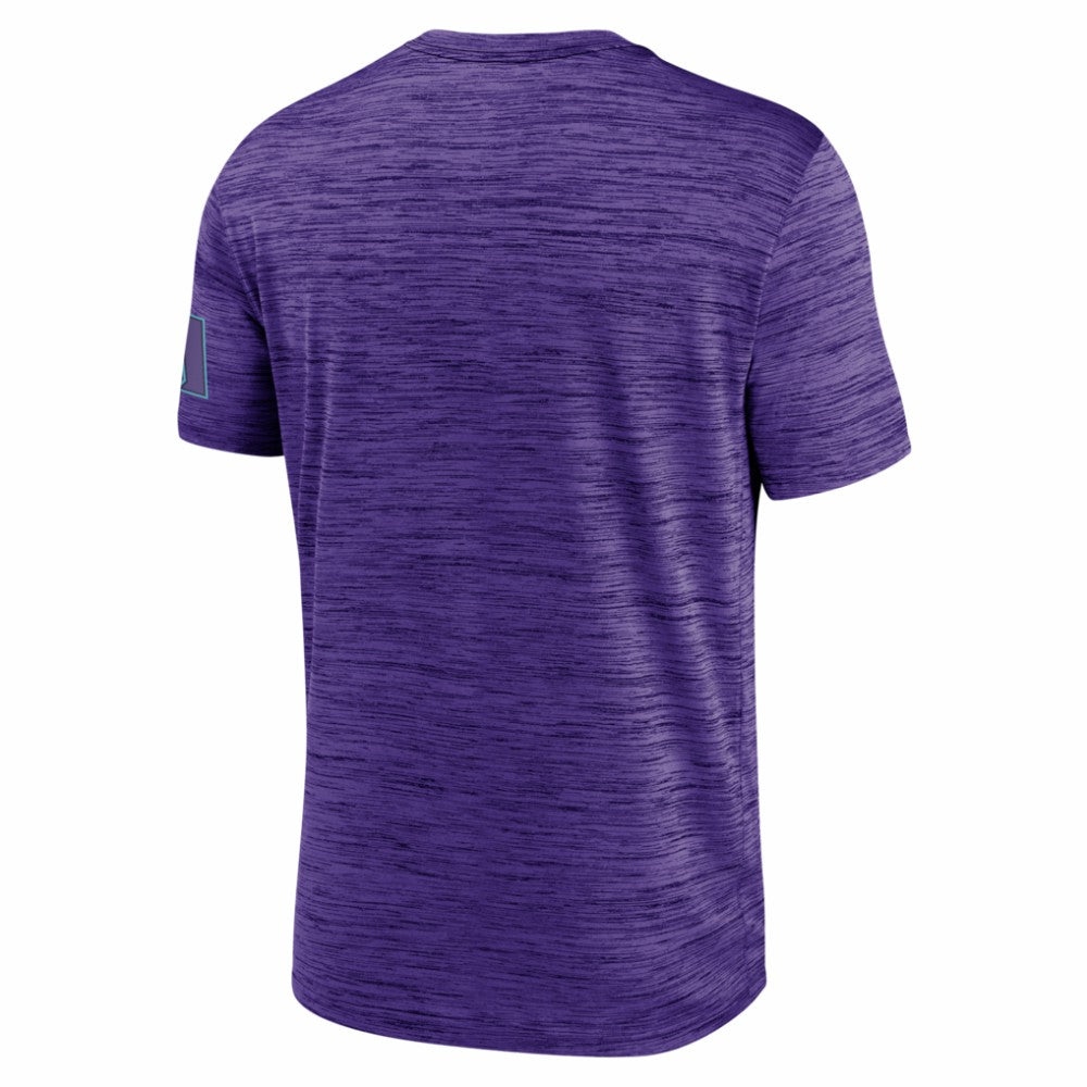 Arizona Diamondbacks Nike Authentic Collection City Connect Velocity Dri-FIT T-Shirt - Purple - Nike Sale