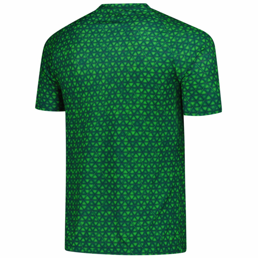Manchester City 2025/26 Pre-Match Training Jersey Green - Puma for sale