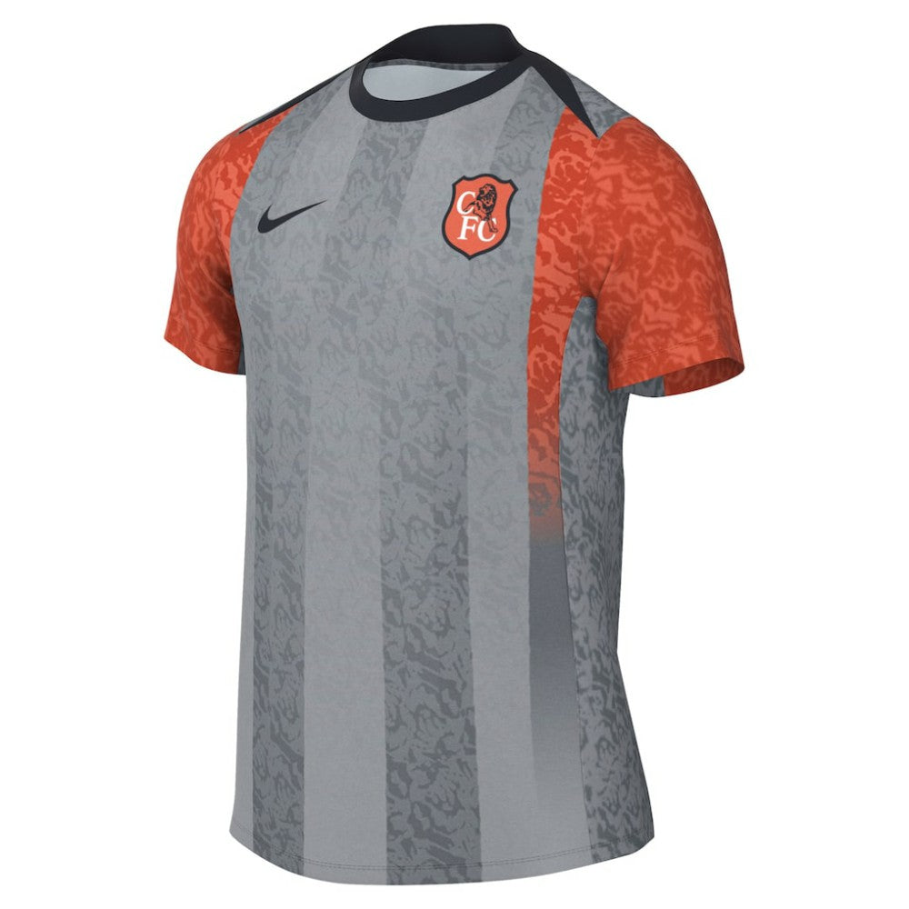 Chelsea 2025/26 Academy Pro Pre-Match Top Gray - Nike