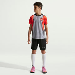 Chelsea Youth 2025/26 Academy Pro Pre-Match Top Gray - Nike cheap