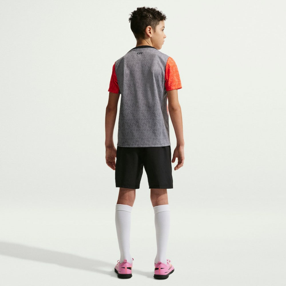 Chelsea Youth 2025/26 Academy Pro Pre-Match Top Gray - Nike cheap