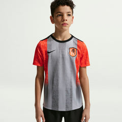 Chelsea Youth 2025/26 Academy Pro Pre-Match Top Gray - Nike cheap