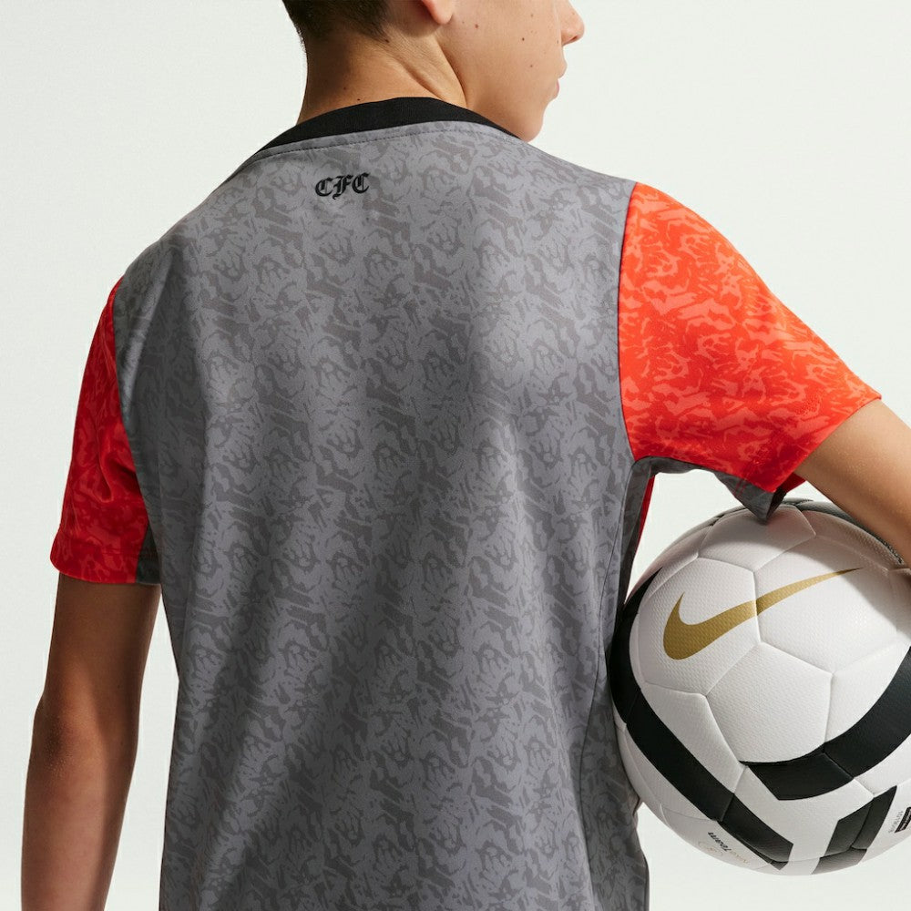 Chelsea Youth 2025/26 Academy Pro Pre-Match Top Gray - Nike cheap