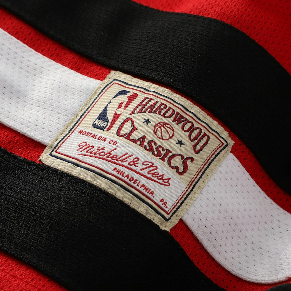 Dennis Rodman Chicago Bulls Big & Tall NBA Hockey Jersey Red | Mitchell & Ness US
