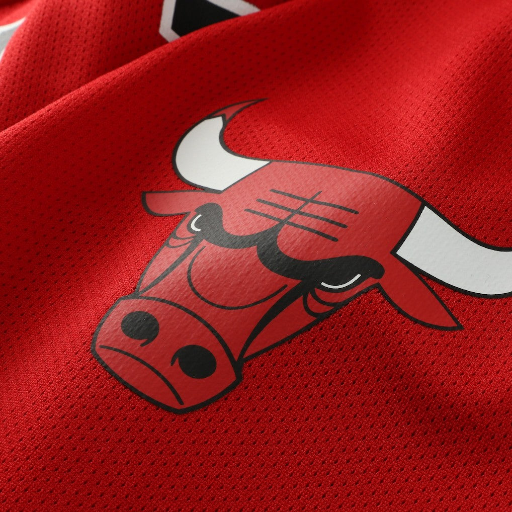 Dennis Rodman Chicago Bulls Big & Tall NBA Hockey Jersey Red | Mitchell & Ness US