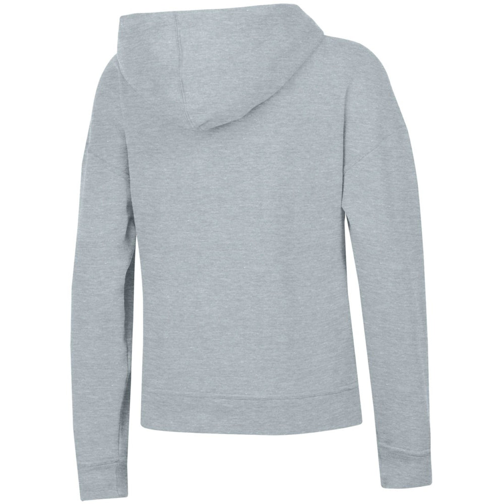 Houston Texans Champion Women's Powerblend Hoodie Heather Gray