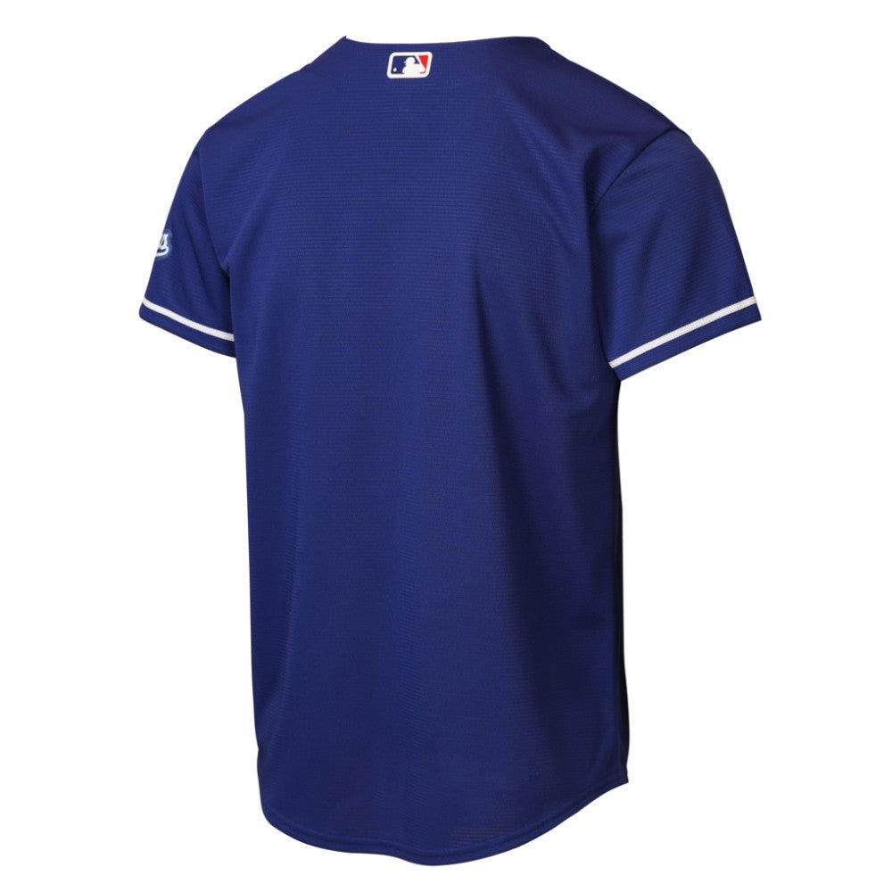 Los Angeles Dodgers Nike Youth Alternate 2 Stadium Jersey - Royal - Nike Online