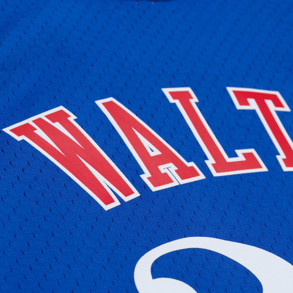Bill Walton LA Clippers 1984-85 Swingman Jersey Royal | Mitchell & Ness US