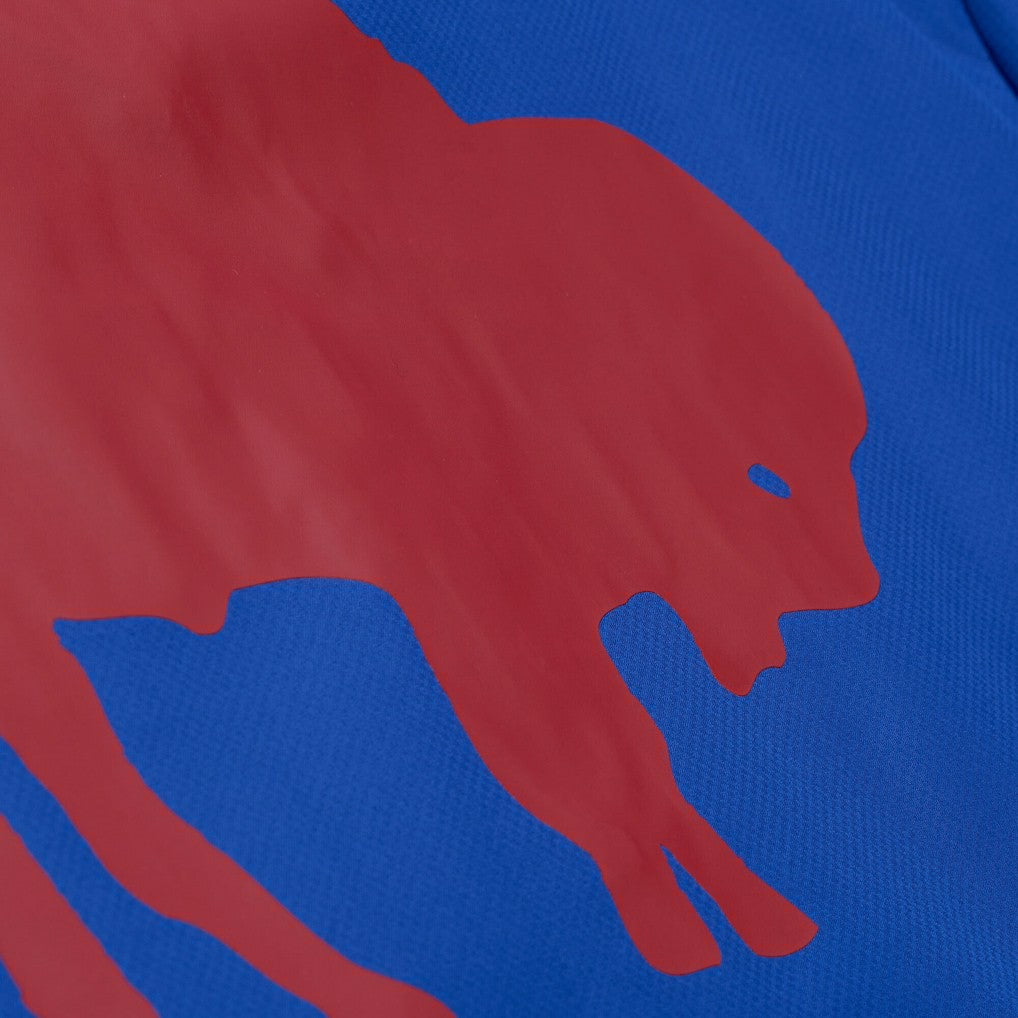 Mitchell & Ness Buffalo Bills Coaches Full-Snap Hooded Windbreaker Jacket Royal