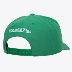 Boston Celtics Legendary Home Pro Pinch Snapback Hat Kelly Green | Mitchell & Ness online