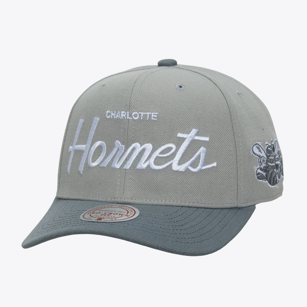 Charlotte Hornets Thunderstorm Head Coach Pro Crown Snapback Hat Gray | Mitchell & Ness for sale