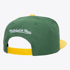 Minnesota Wild Mitchell & Ness Legendary Home Snapback Hat - Green - NHL 203263576