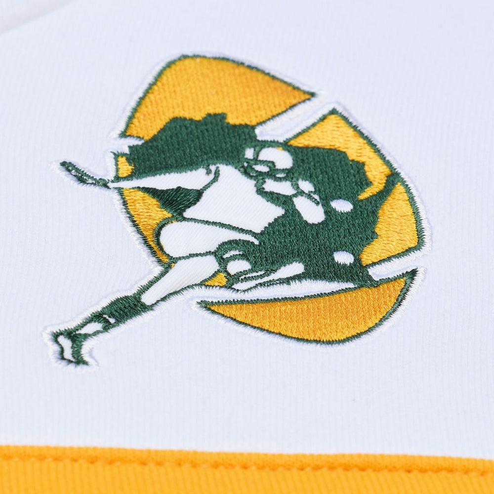 Mitchell & Ness Green Bay Packers Head Coach Hoodie Green