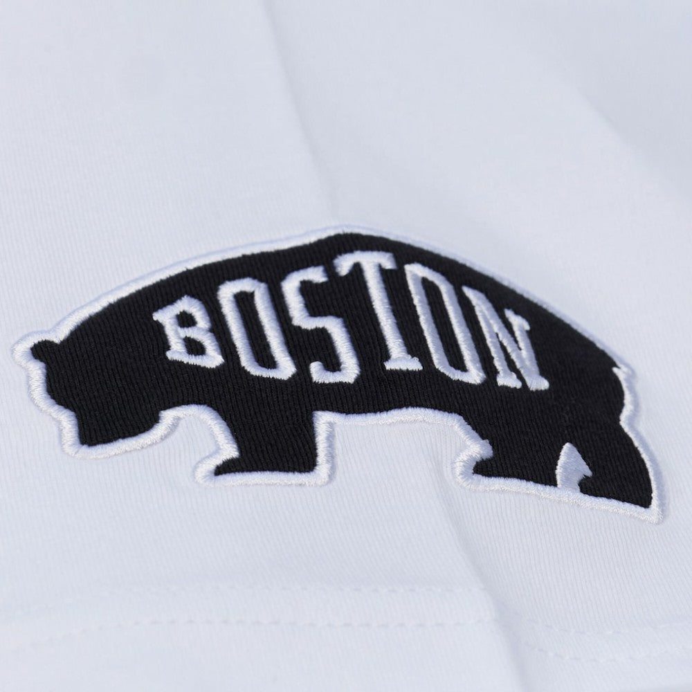 Boston Bruins Mitchell & Ness Arctic T-Shirt- White - NHL 203265825
