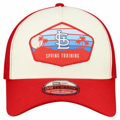St. Louis Cardinals New Era 2026 Spring Training Fan Pack Gradient 39THIRTY Flex Hat - Stone - New Era on Sale