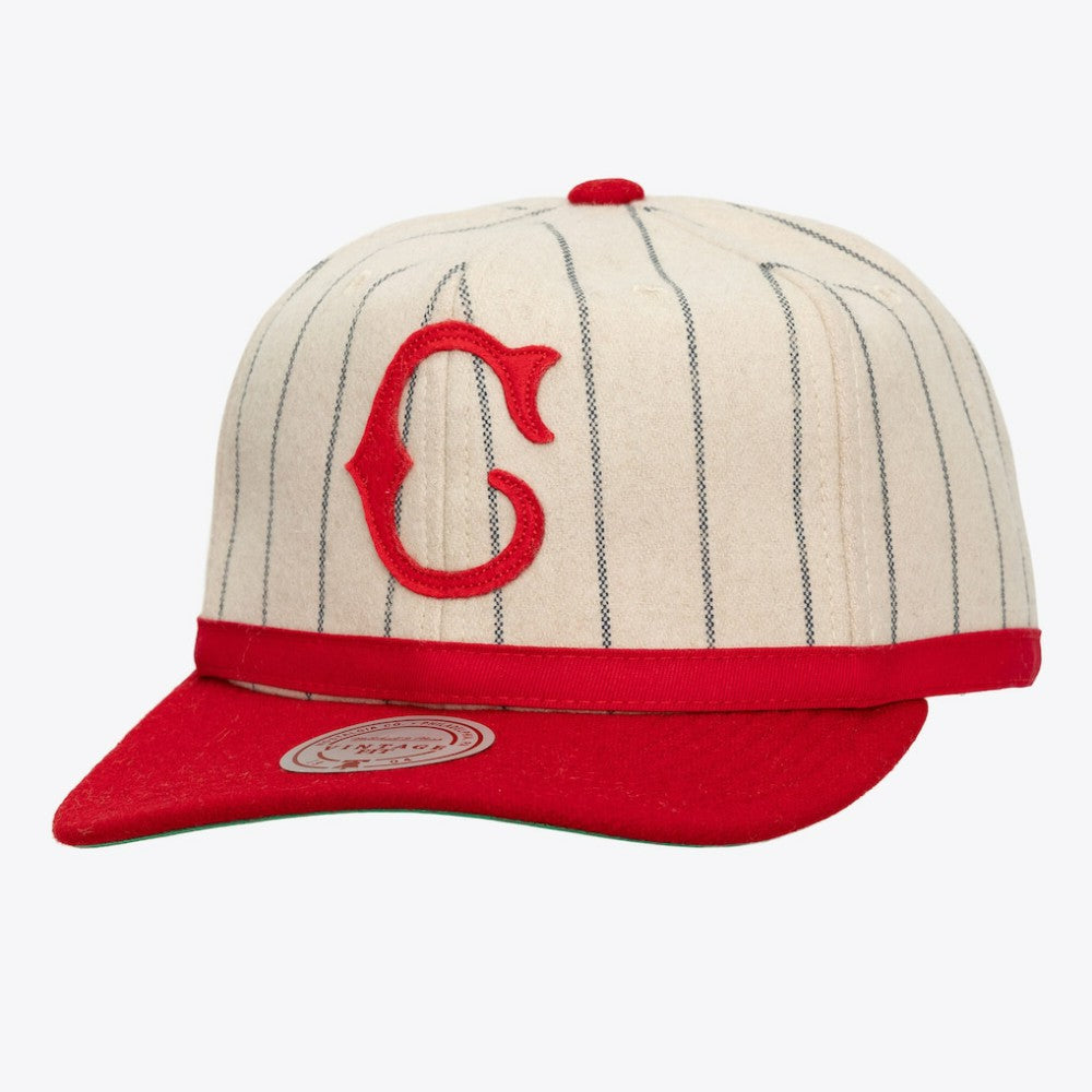 Cincinnati Reds Mitchell & Ness Unisex Vintage Ground Melton Wool Pinstripe Adjustable Hat - Cream - Mitchell & Ness Discount