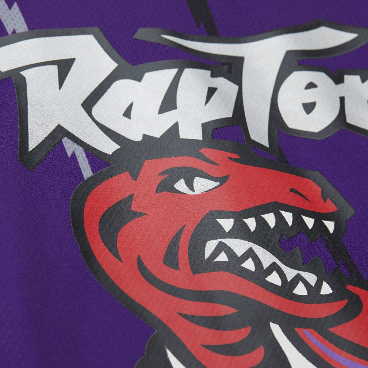 Vince Carter Toronto Raptors Unisex Maxxed Out Fashion Hockey Jersey Purple | Mitchell & Ness Near Me