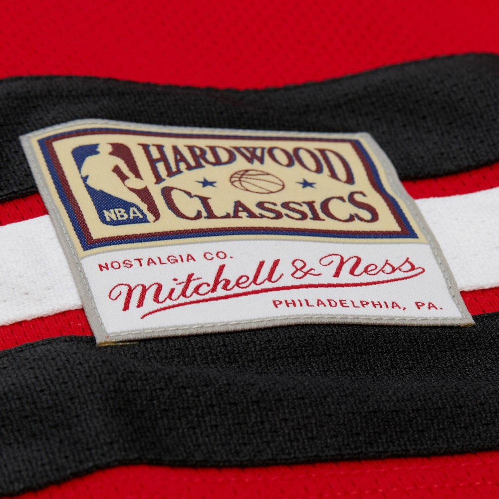 Dennis Rodman Chicago Bulls Unisex Maxxed Out Fashion Hockey Jersey for sale Red | Mitchell & Ness outlet