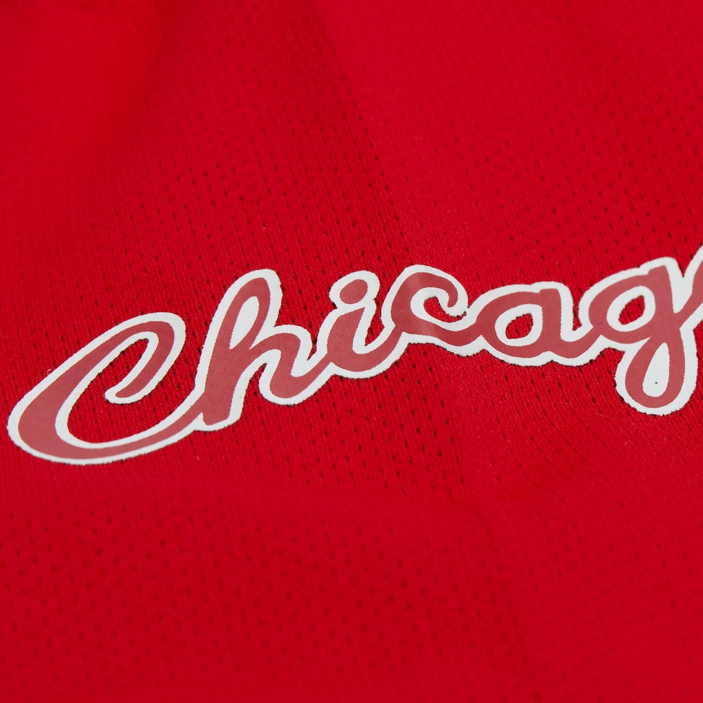 Dennis Rodman Chicago Bulls Unisex Maxxed Out Fashion Hockey Jersey for sale Red | Mitchell & Ness outlet