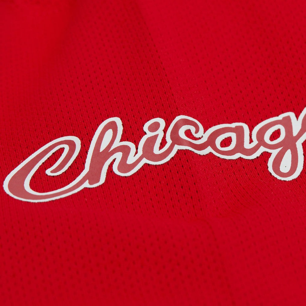 Dennis Rodman Chicago Bulls Unisex Maxxed Out Fashion Hockey Jersey for sale Red | Mitchell & Ness outlet