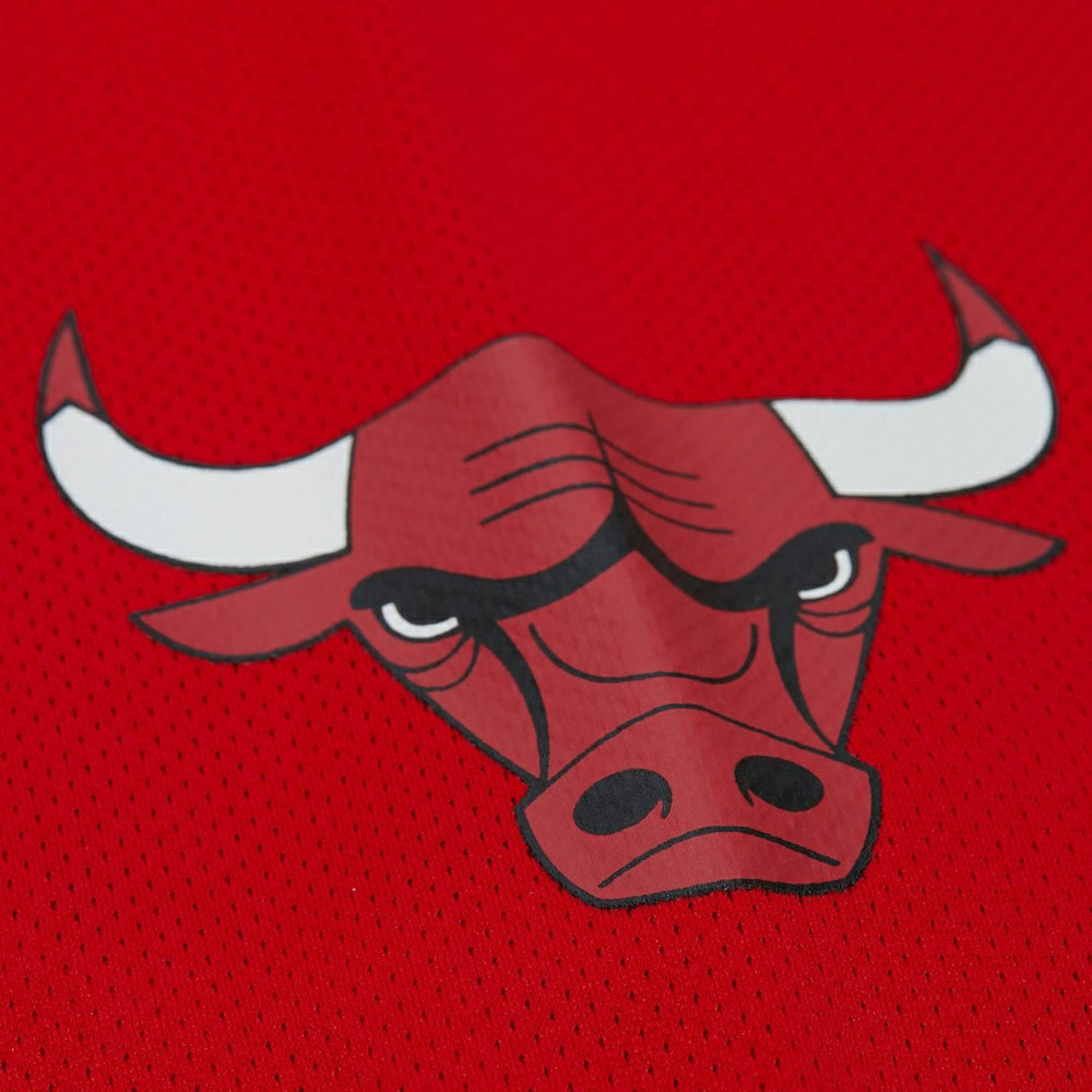 Dennis Rodman Chicago Bulls Unisex Maxxed Out Fashion Hockey Jersey for sale Red | Mitchell & Ness outlet