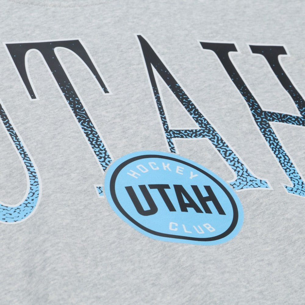 Utah Mammoth Mitchell & Ness Women's Hockey Night Sweatshirt - Heather Gray - NHL 203403315
