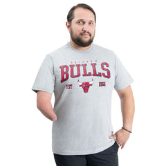 Chicago Bulls G-III Sports by Carl Banks Adaptive Classic Team Spirit Short Sleeve T-Shirt Gray