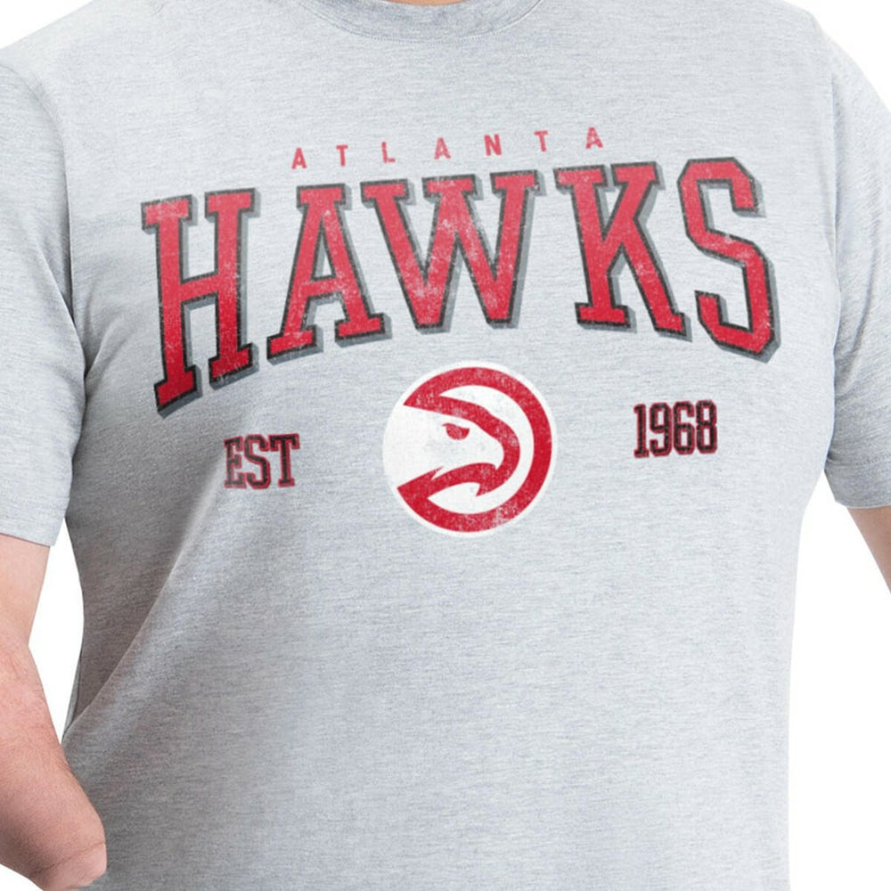 Atlanta Hawks G-III Sports by Carl Banks Adaptive Classic Team Spirit Short Sleeve T-Shirt Gray