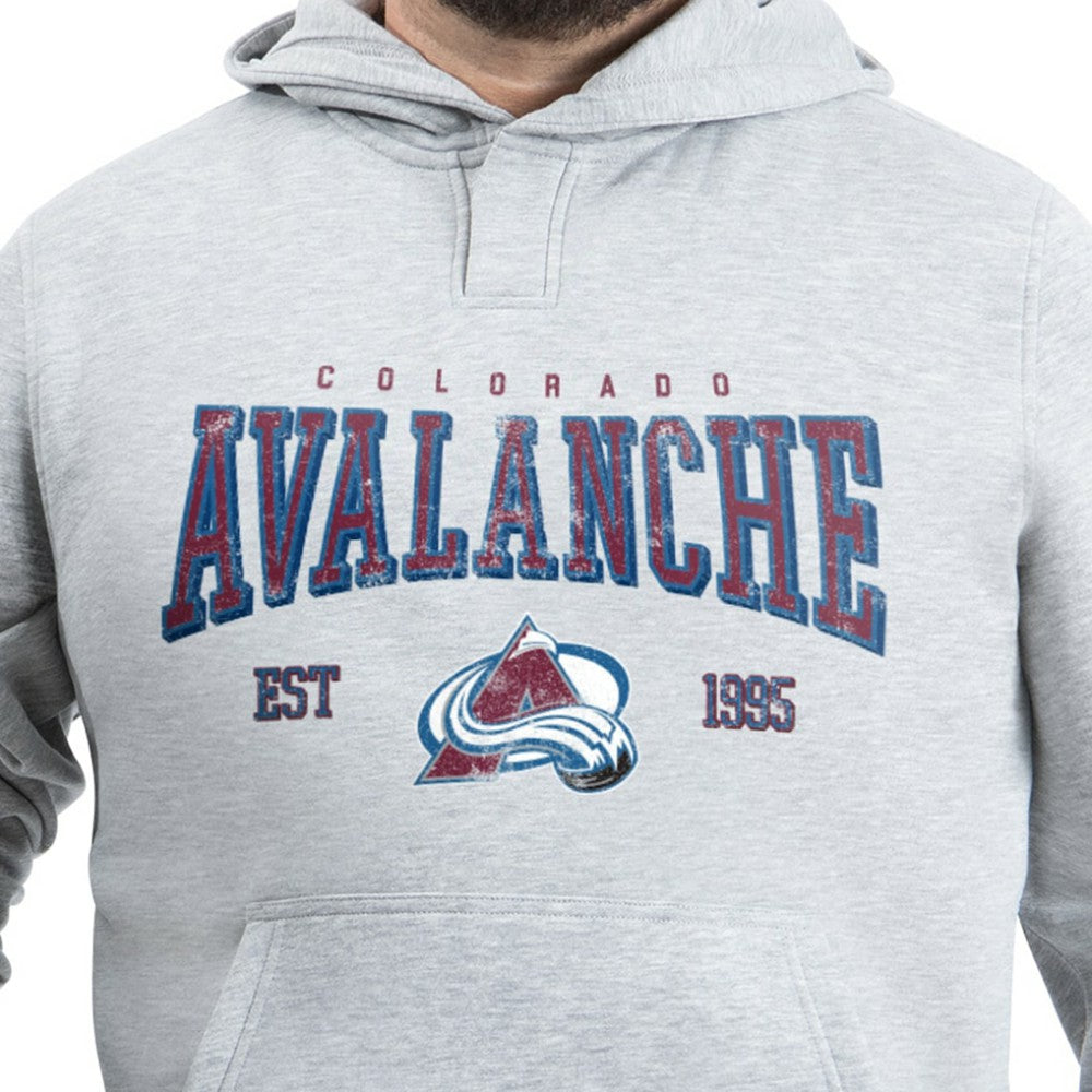 Colorado Avalanche G-III Sports by Carl Banks Adaptive Classic Team Spirit Fleece Hoodie - Gray - NHL 203456464