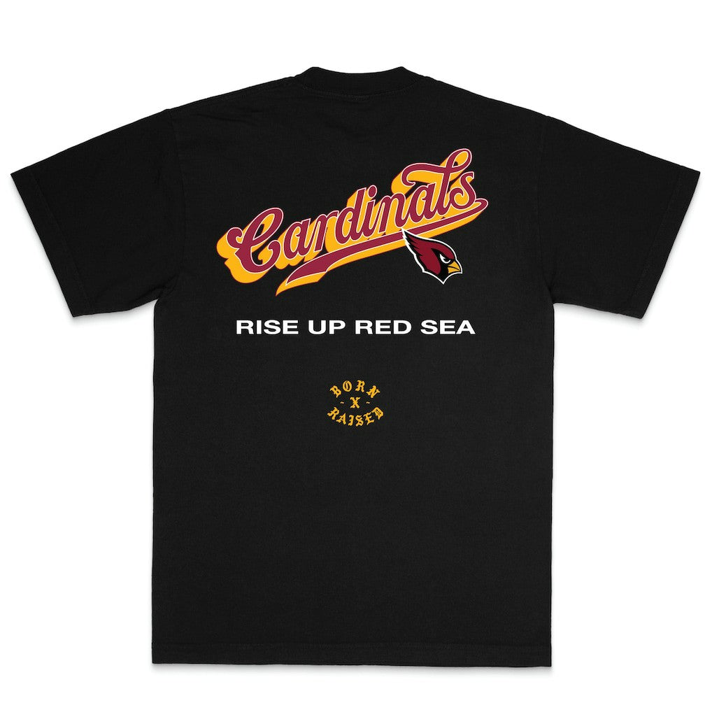 Arizona Cardinals Born x Raised Unisex Pro Script T-Shirt Black
