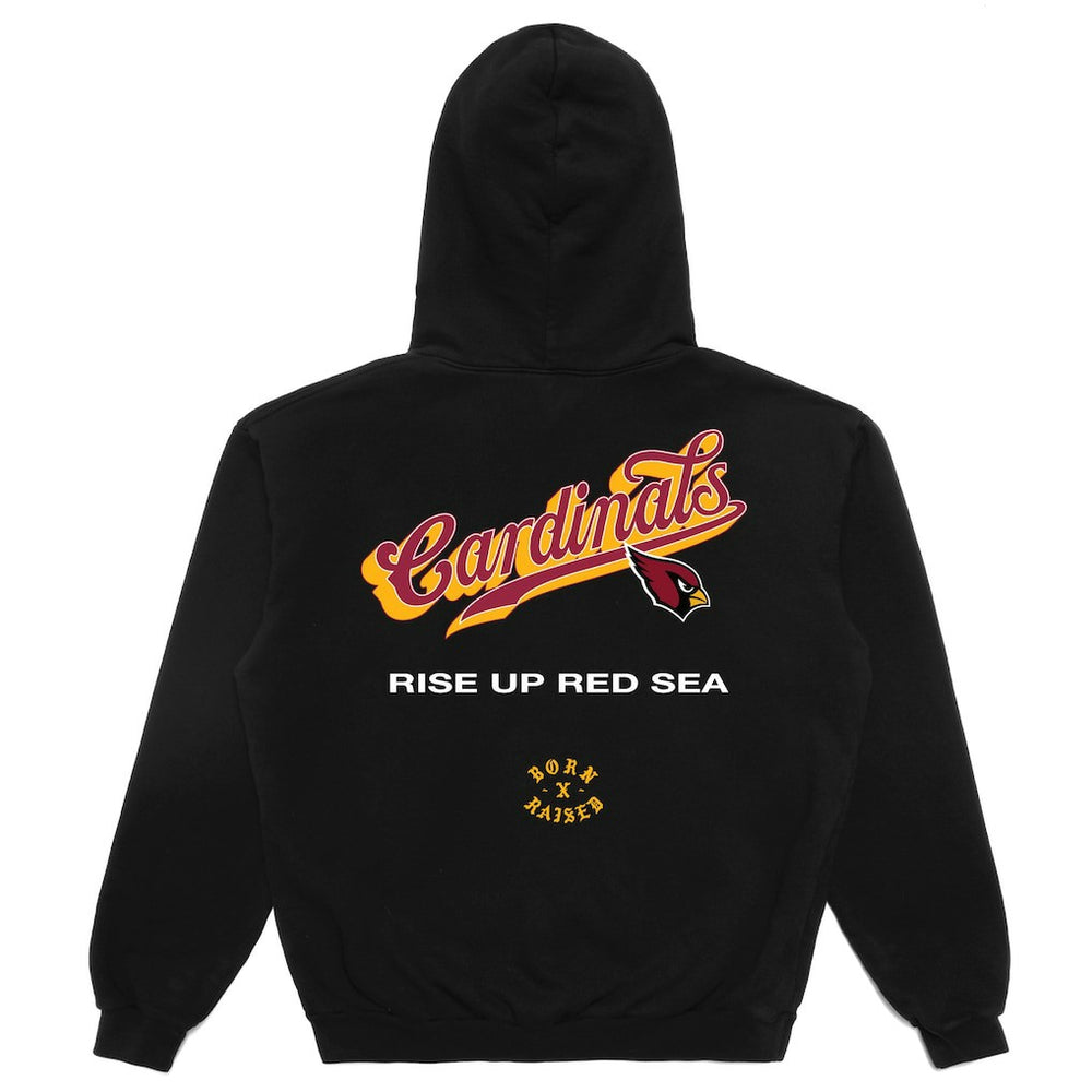Arizona Cardinals Born x Raised Unisex Pro Script Hoodie Black