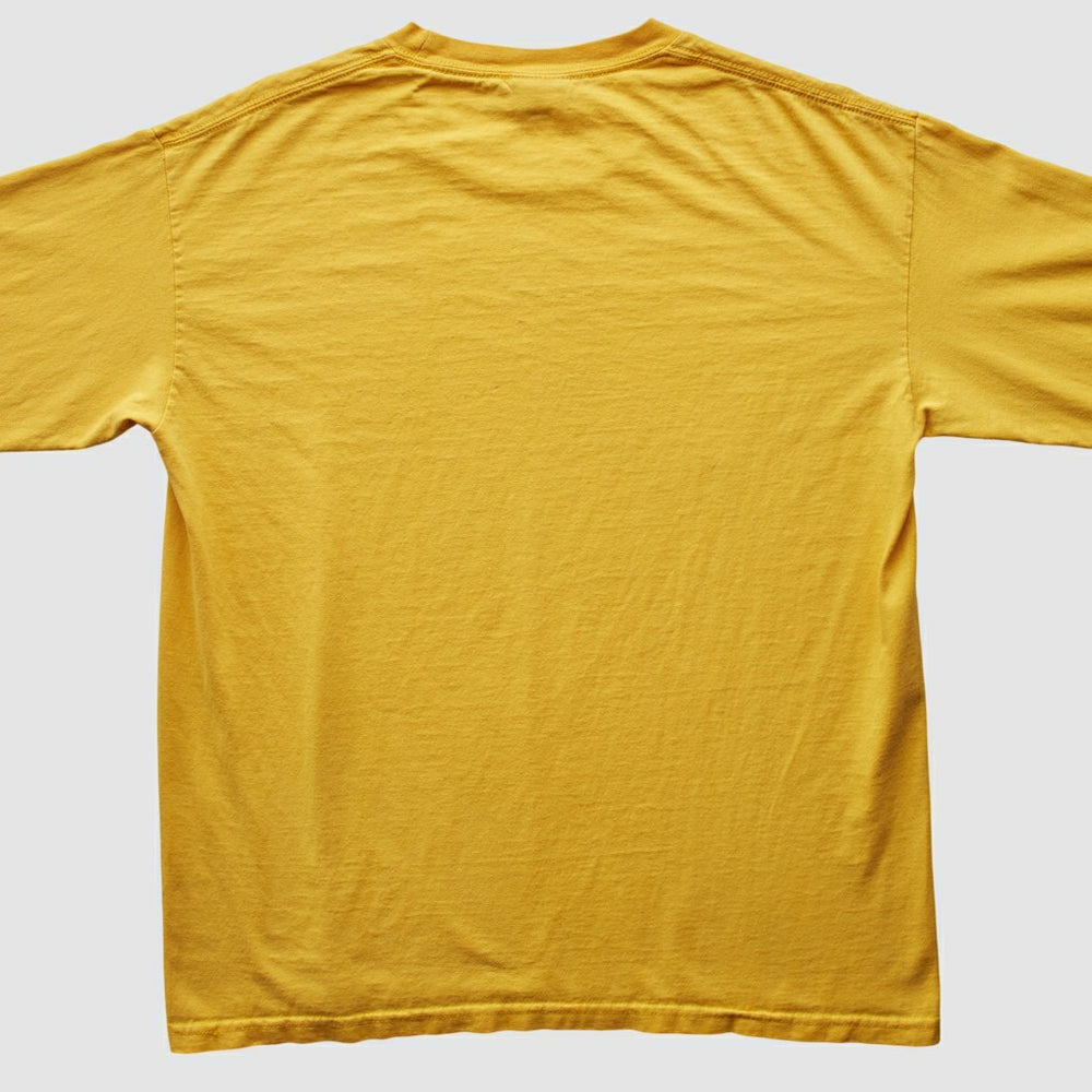 Fanatics Pittsburgh Steelers NFL 2006 T-Shirt Yellow Vintage