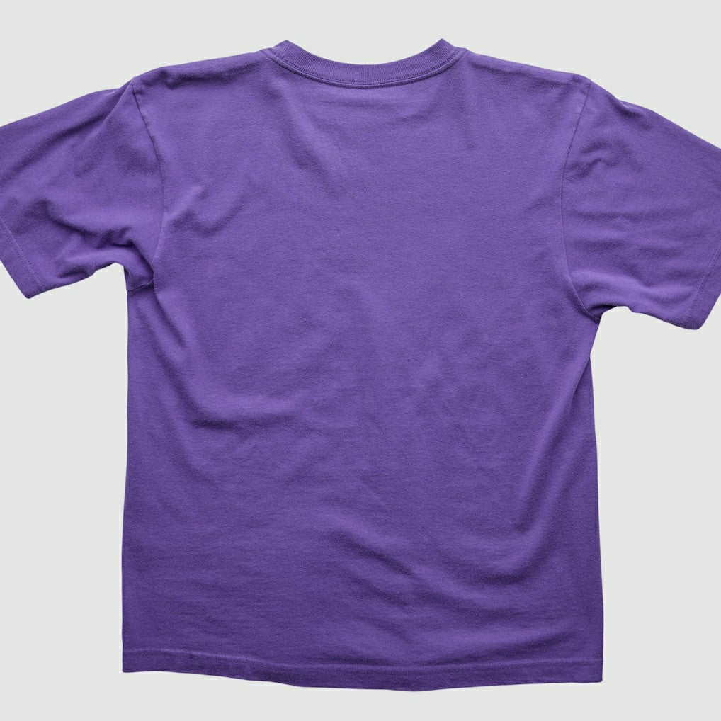 Fanatics Minnesota Vikings 2000s T-Shirt Purple Vintage