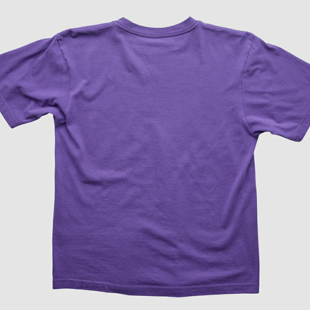 Fanatics Minnesota Vikings 2000s T-Shirt Purple Vintage