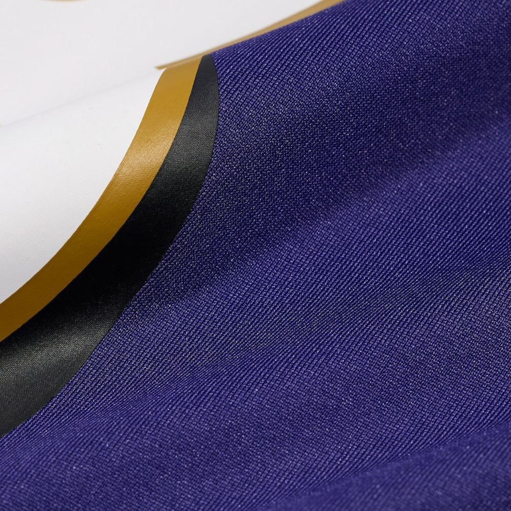 Nike Tyler Loop Baltimore Ravens Team Game Jersey Purple