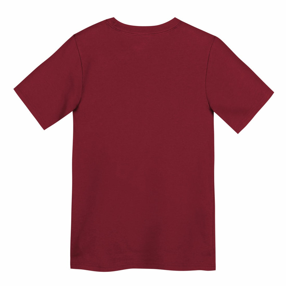 Nike Tampa Bay Buccaneers Preschool Icon Legend Dri-FIT T-Shirt Red