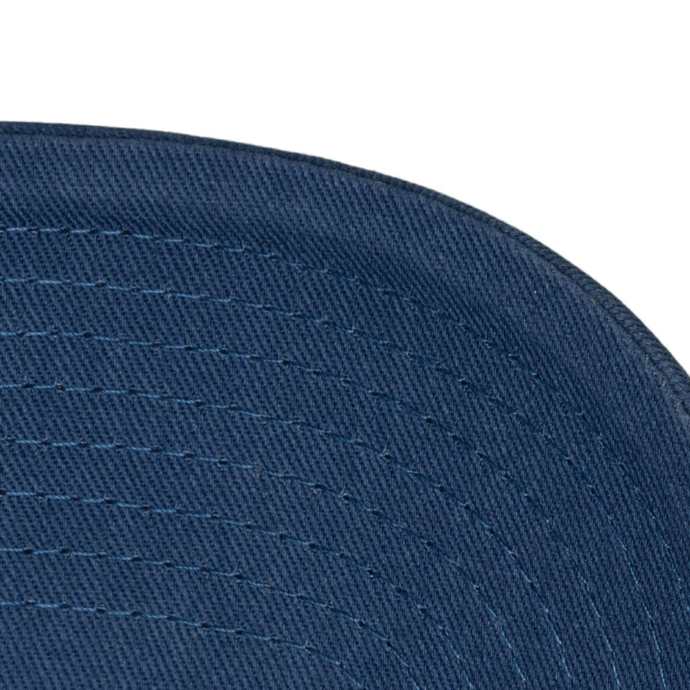 Minnesota Timberwolves Hardwood Classics 1904 Adjustable Hat Blue | Mitchell & Ness online