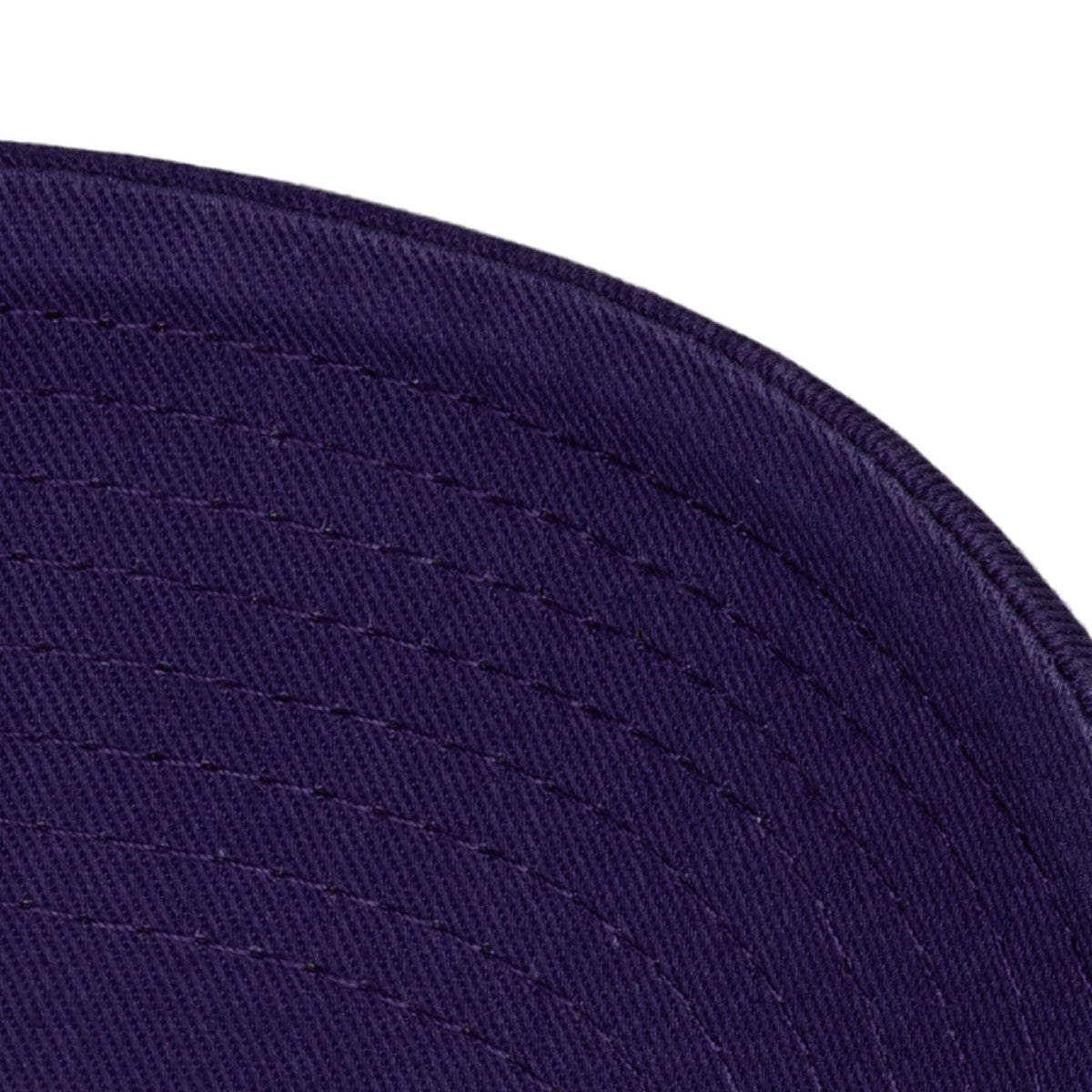 Toronto Raptors Hardwood Classics 1904 Adjustable Hat Purple | Mitchell & Ness US