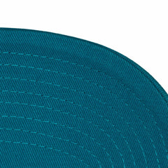 Charlotte Hornets Hardwood Classics 1904 Adjustable Hat Teal | Mitchell & Ness US