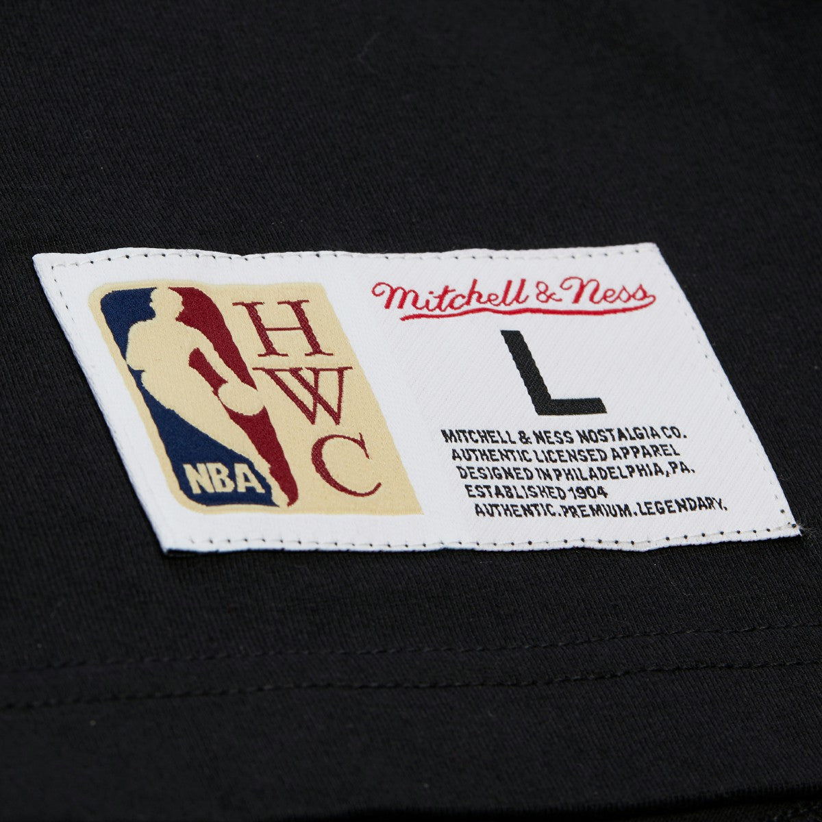 Memphis Grizzlies Hardwood Classics Throw It Back Premium T-Shirt Black | Mitchell & Ness online