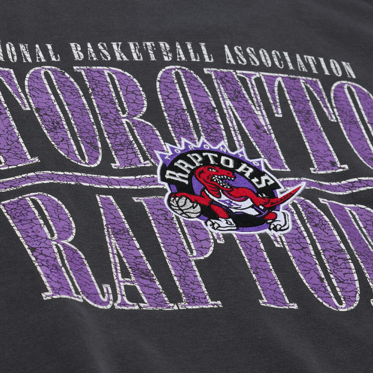 Toronto Raptors NBA Downtown Collection Fleece Sweatshirt Black | Mitchell & Ness discount
