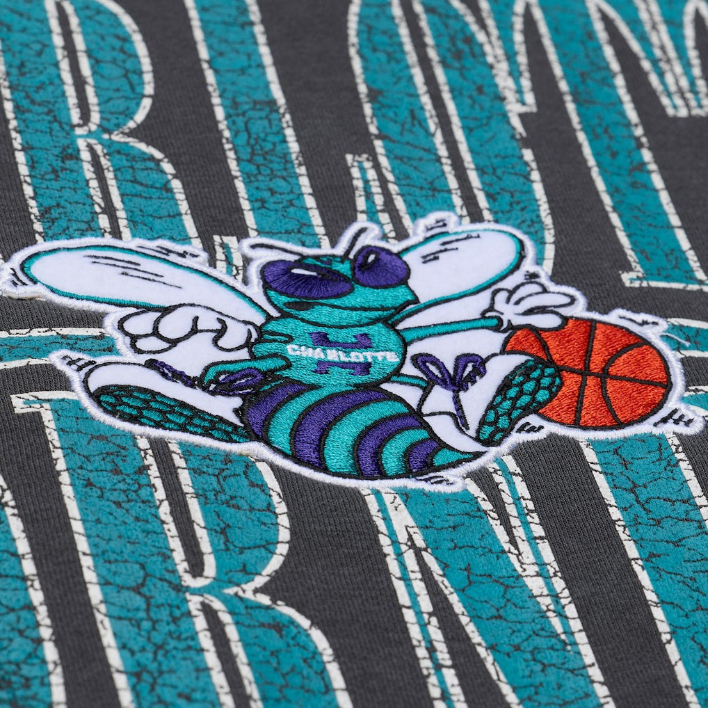 Charlotte Hornets NBA Downtown Collection Fleece Sweatshirt Black | Mitchell & Ness US