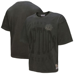 Toronto Raptors Downtown Collection Premium T-Shirt Black | Mitchell & Ness outlet