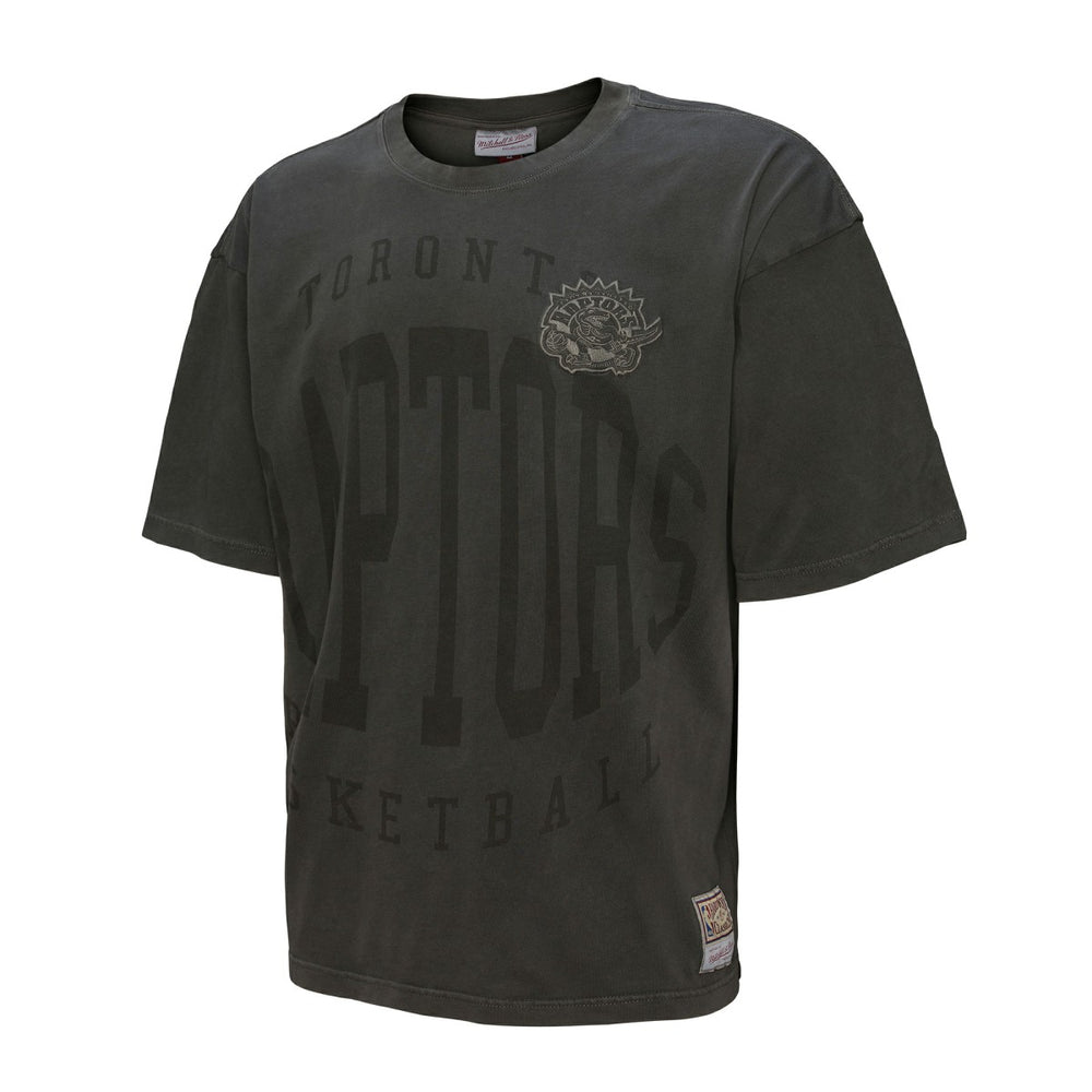 Toronto Raptors Downtown Collection Premium T-Shirt Black | Mitchell & Ness outlet