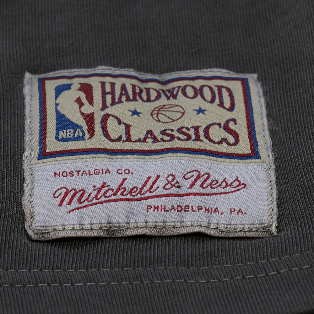 Charlotte Hornets Downtown Collection Premium T-Shirt Black | Mitchell & Ness for sale