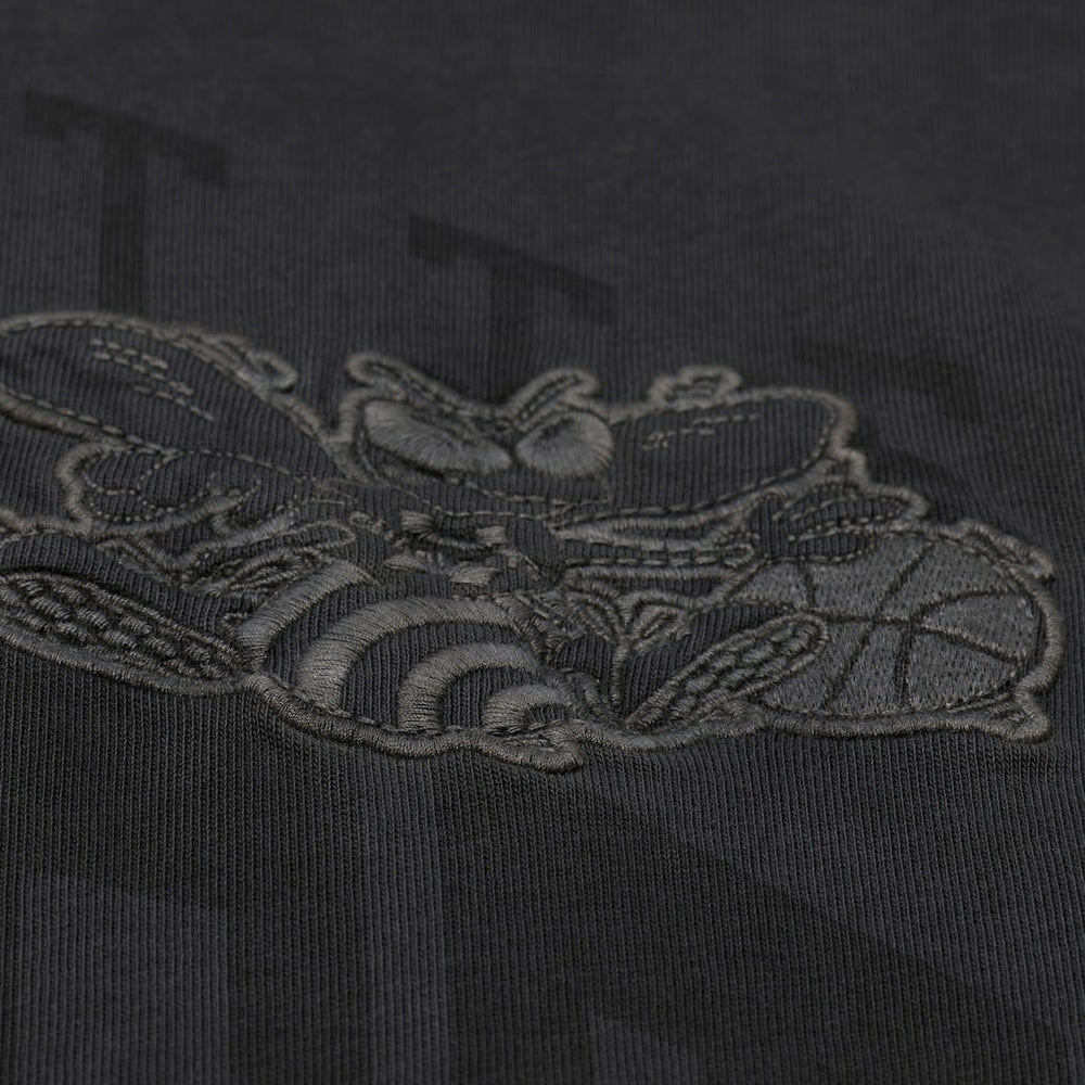 Charlotte Hornets Downtown Collection Premium T-Shirt Black | Mitchell & Ness for sale