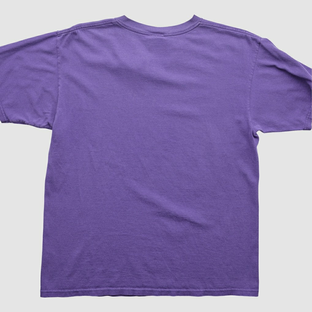 Fanatics Minnesota Vikings NFL 2000s T-Shirt Purple Vintage