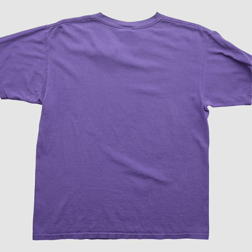 Fanatics Minnesota Vikings NFL 2000s T-Shirt Purple Vintage