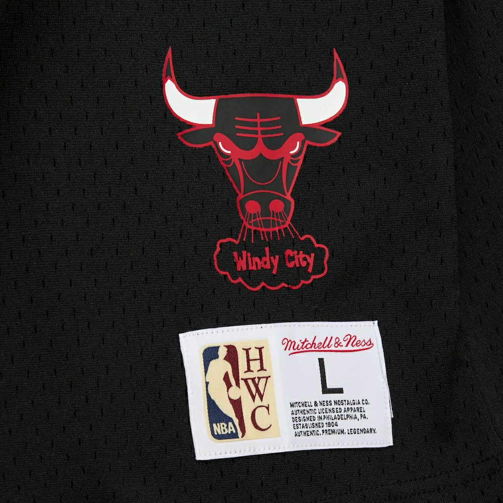 Dennis Rodman Chicago Bulls Mesh Name & Number Short Sleeve Hoodie for sale Black | Mitchell & Ness Lifestyle
